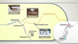 Journeys in Japan: 11×10