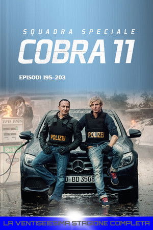 Squadra Speciale Cobra 11: Stagione 26