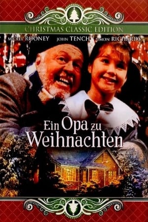 Home for Christmas poster