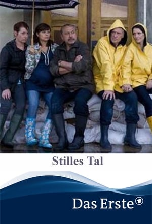 Poster Stilles Tal 2011