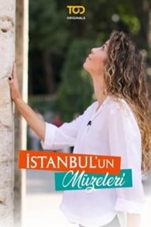 İstanbul'un Müzeleri