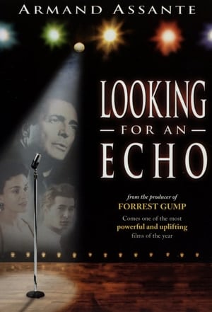 Poster Looking for an Echo 2000