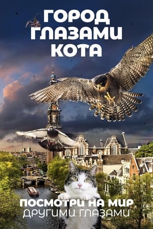 Poster Город глазами кота 2018