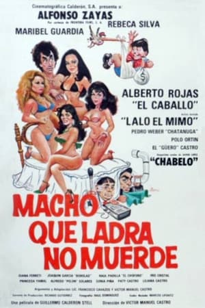 Poster Macho que ladra no muerde (1984)