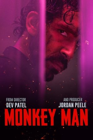 Image Monkey Man