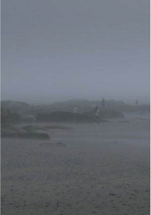 Poster The Fog Has Covered The Moment Again (2021)