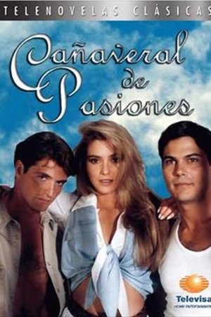 Cañaveral de Pasiones poster