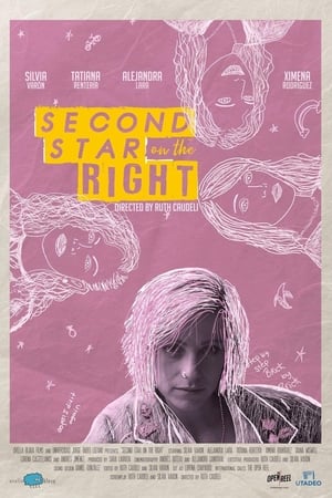 Poster Second Star on the Right (2019)