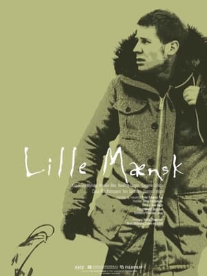 Poster Little Man (1999)