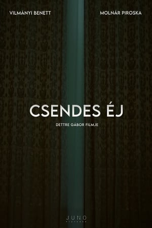 Image Csendes éj