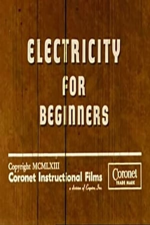 Electricity for Beginners