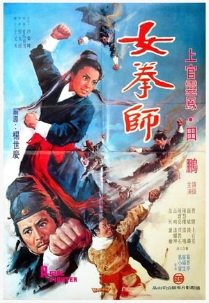 Poster A Girl Fighter (1972)