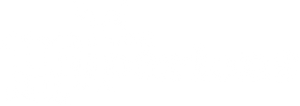 The Hyperions — Logos 10