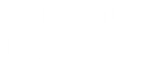 Bajkonur, Terra — Logos 1