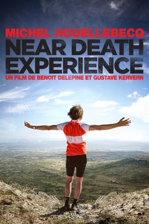 Poster Near Death Experience 2014