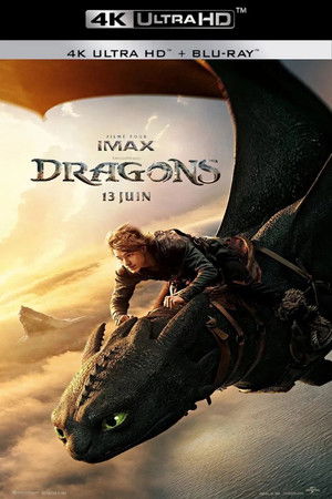 poster How to Train Your Dragon