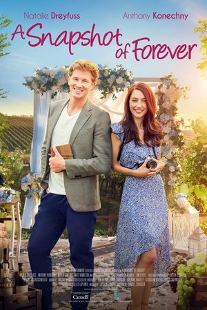 A Snapshot of Forever A Snapshot of Forever