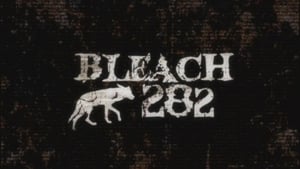 Bleach: 14×17