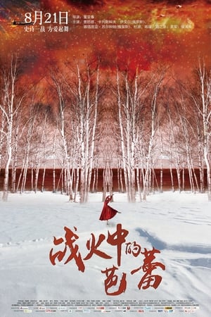 Poster 战火中的芭蕾 2015