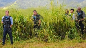 Hawaii Five-0 Season 5 Episode 13