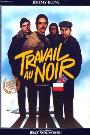 Travail au noir 1982