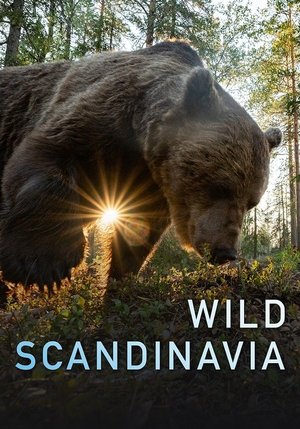 Image Wild Scandinavia