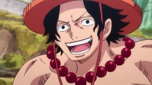 One Piece: 21×896