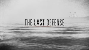 poster The Last Defense