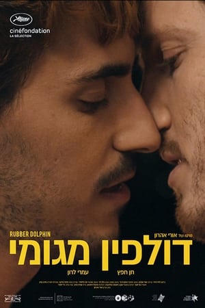 Poster דולפין מגומי 2018