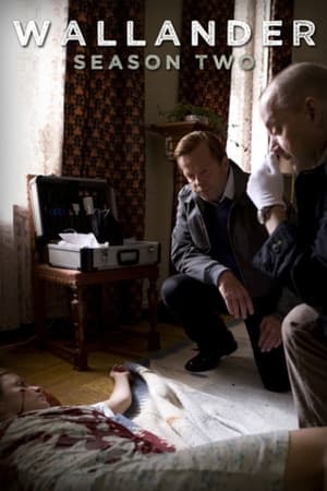 Mankells Wallander: Staffel 2