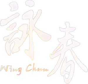 詠春 — Logos 2