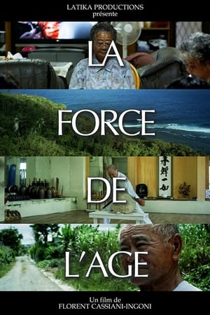 Poster La Force de l'Age 2013