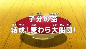 Sons' Cups! Straw Hat Fleet is Formed!