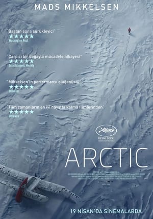 Poster Arctic 2018