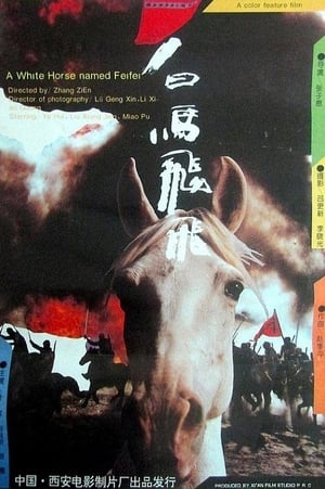 Poster Feifei 1996