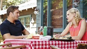 Hart of Dixie 3 x 6