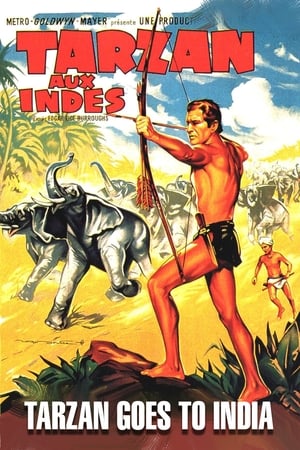 Image Tarzan aux Indes
