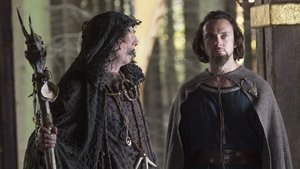 Vikings Staffel 1 Folge 8