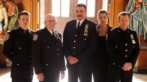 Blue Bloods – Sangue Azul