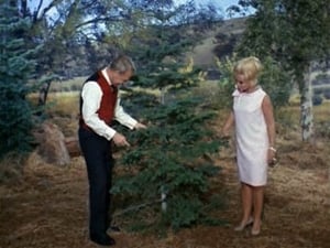 Green Acres An Old Fashioned Christmas