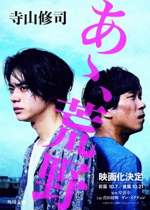 あゝ、荒野（シリーズ）