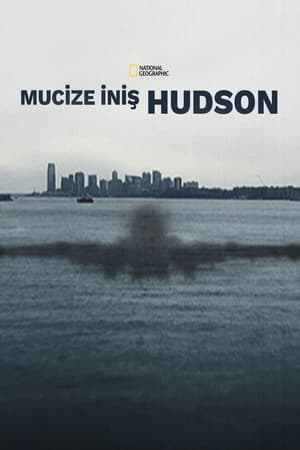 Image Miracle Landing on the Hudson