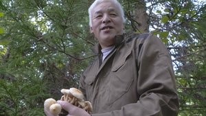 NHK WORLD PRIME: 5×8