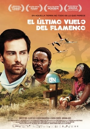 Poster O Último Voo do Flamingo (2010)