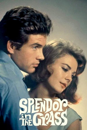 Постер фильма «Великолепие в траве (1961)» — (18 из 32)