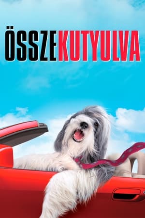 Poster Összekutyulva 2006