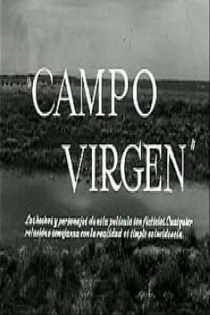 Image Campo virgen