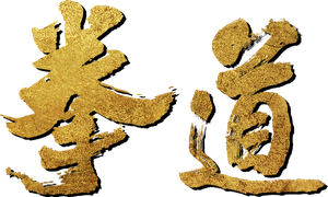 拳道 — Logos 2