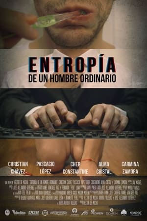 Poster Entropía de Un Hombre Ordinario (2015)