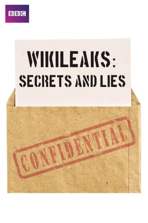 Poster Wikileaks: Secrets and Lies 2012